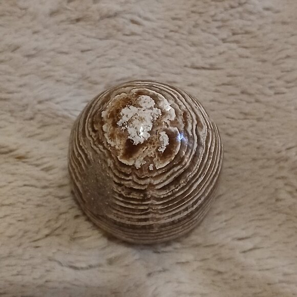 Brown & Tan Banded Aragonite Egg from Madagascar (NWOT) - Picture 8 of 12